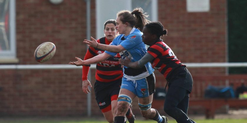 Under the Fin: Getting To Know Jess Elbeck