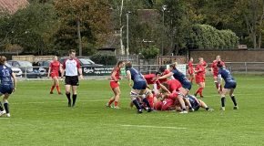 Match Report | Sale Sharks 10-40 Saracens