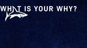 Trust launch ‘What is your WHY?’ campaign