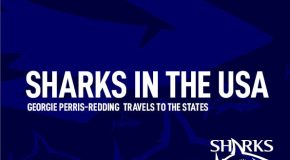 Sharks in the USA: Georgie Perris-Redding blog 1