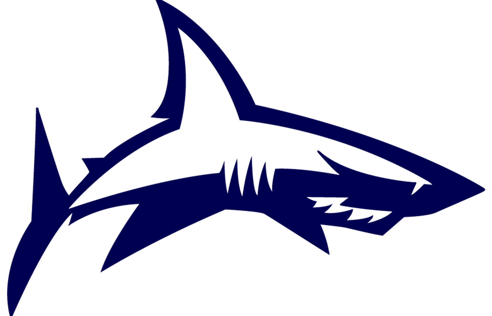 Sale Sharks
