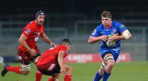 Sharks sign Stormers forward Van Rhyn