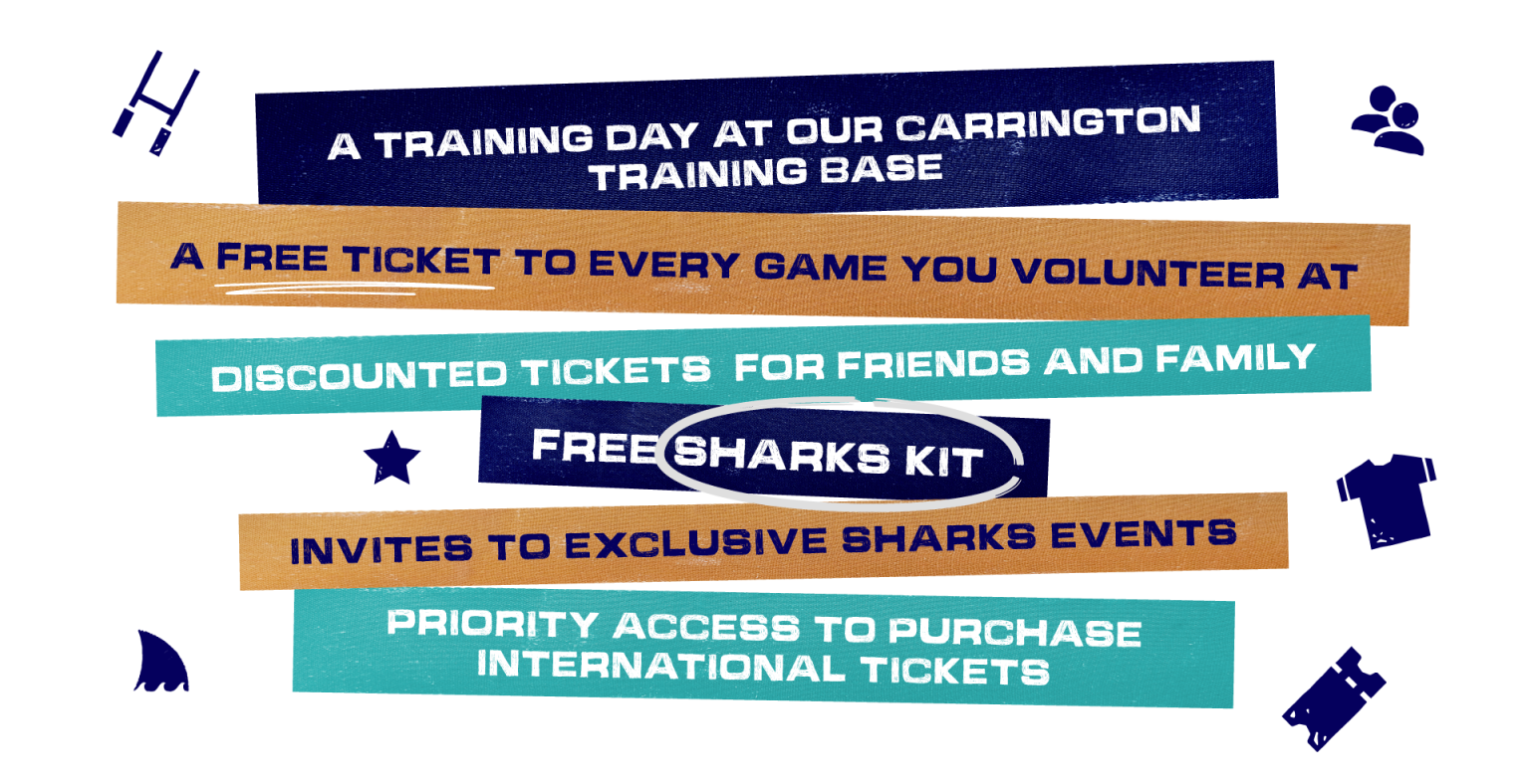 LIFEGUARDS Sale Sharks