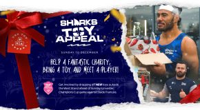 We are supporting this year’s Christmas Toy   Appeal   