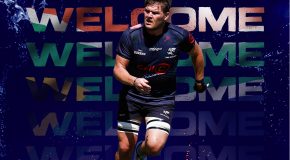 SHARKS SIGN LOCK LE ROUX