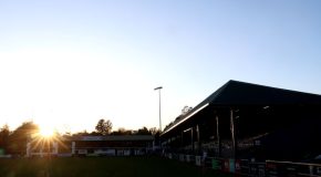 Sharks to take on Connacht in pre-season