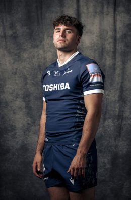 Sebi Krippner